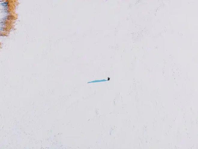 025网站最新发布）青云上内幕大揭秘AG真人国际游戏建发联发青云上（2(图9)
