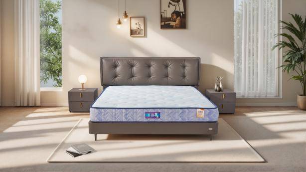 宝55周年开仓特惠助你迎接舒心新春AG真人试玩平台焕新家过暖年：穗(图5)